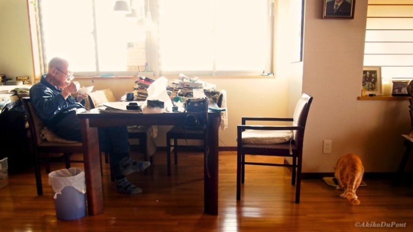 A Japanese woman brought her grandfather back to life by giving him a kitten A Japanese woman brought her grandfather back to life by giving him a kitten