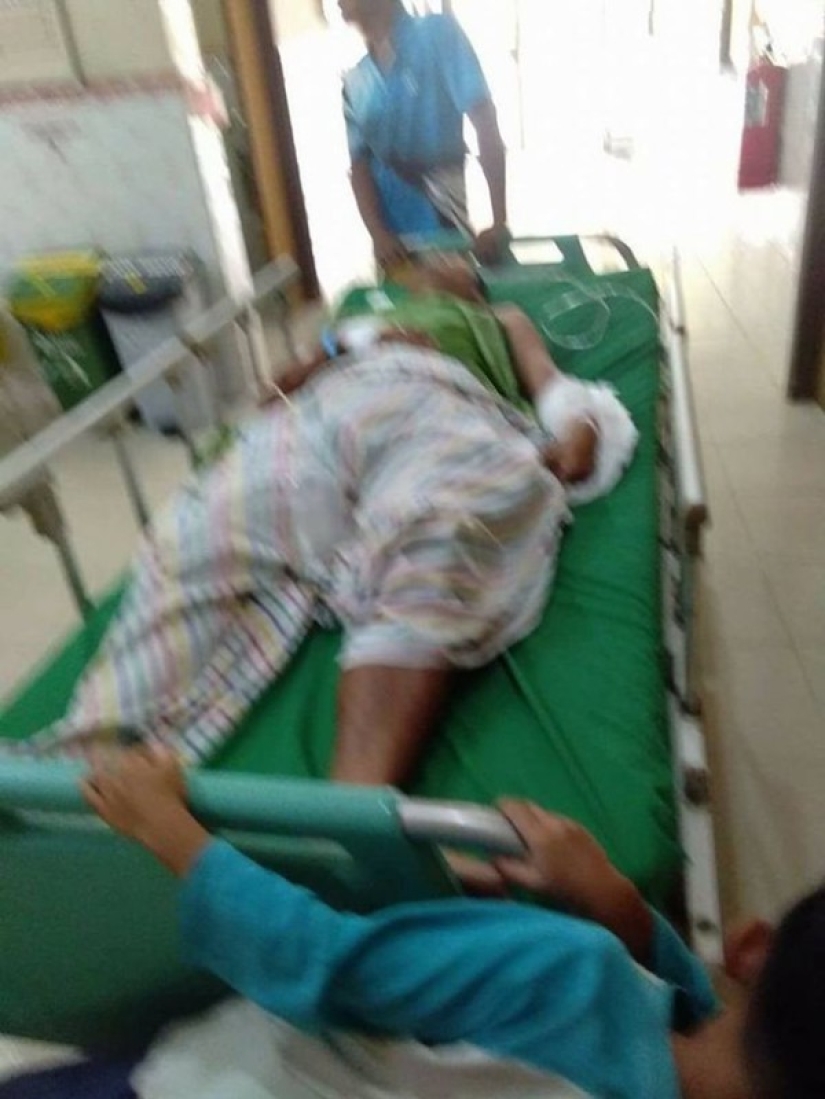 A man fought in a deadly fight with a seven-meter python