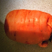 A man found an engagement ring lost three years ago on a carrot