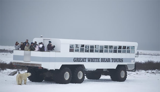 A night with polar bears: the first Arctic hotel on wheels
