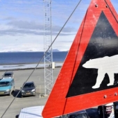 A Russian man was sentenced to prison for robbing a Norwegian bank in the Arctic Circle