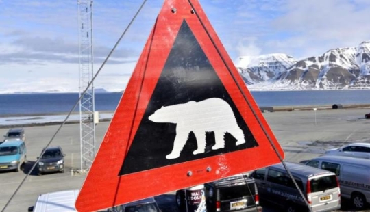 A Russian man was sentenced to prison for robbing a Norwegian bank in the Arctic Circle A Russian man was sentenced to prison for robbing a Norwegian bank in the Arctic Circle