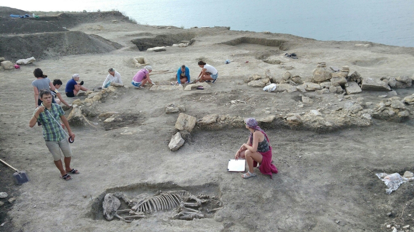 A skeleton of a baby of the II century with an elongated skull was found in Crimea A skeleton of a baby of the II century with an elongated skull was found in Crimea