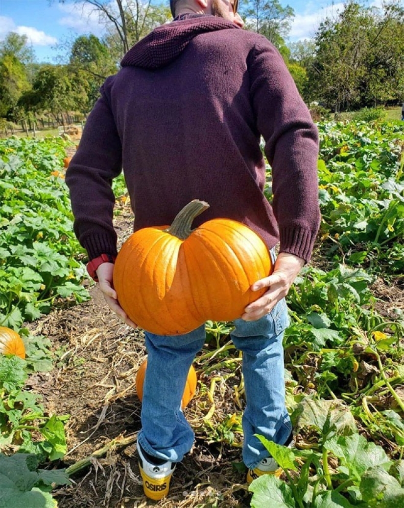 A spicy Halloween illusion that will amuse and puzzle