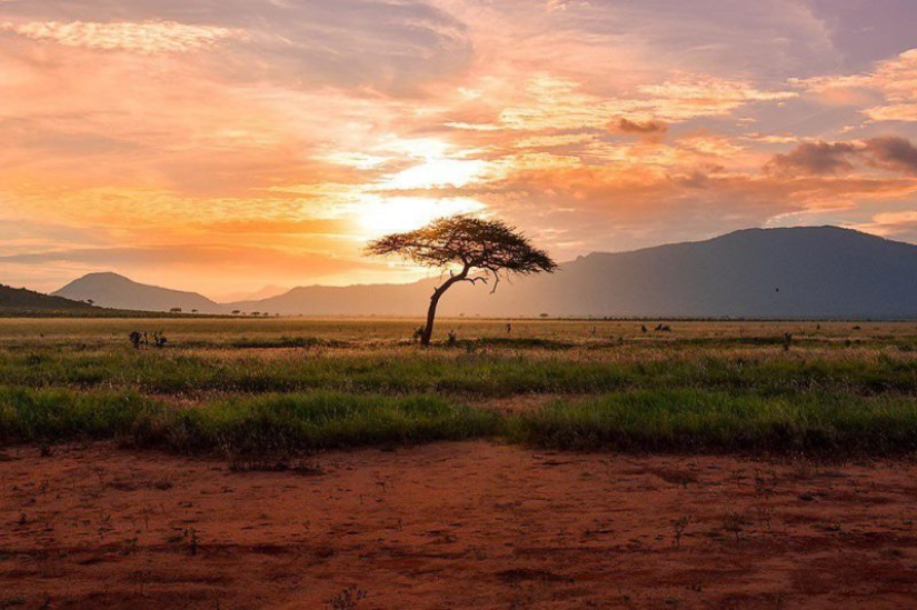 A startup has opened a vacancy for a traveler-a tester of author's tours