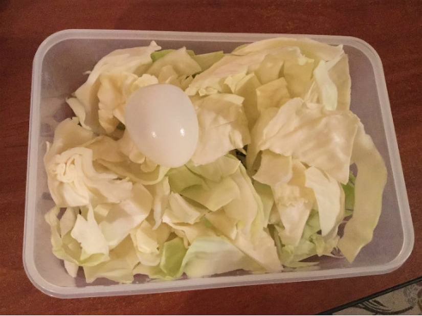 A student from St. Petersburg lived for a month on a scholarship of 1,572 rubles and urged everyone to be more modest A student from St. Petersburg lived for a month on a scholarship of 1,572 rubles and urged everyone to be more modest