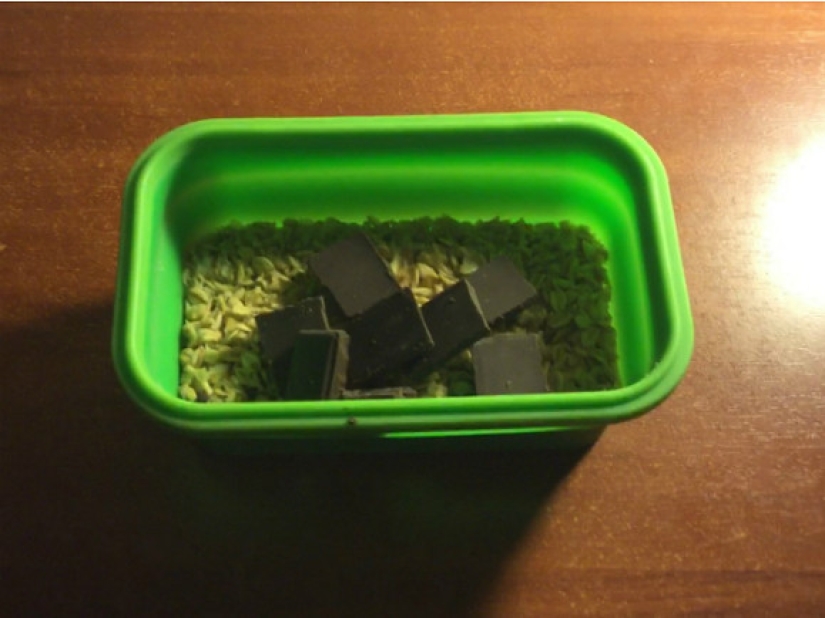 A student from St. Petersburg lived for a month on a scholarship of 1,572 rubles and urged everyone to be more modest A student from St. Petersburg lived for a month on a scholarship of 1,572 rubles and urged everyone to be more modest