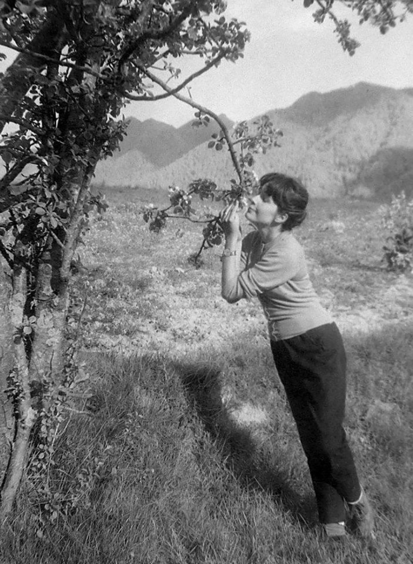 A tourist bought an envelope at a flea market, where he found negatives from an unknown genius