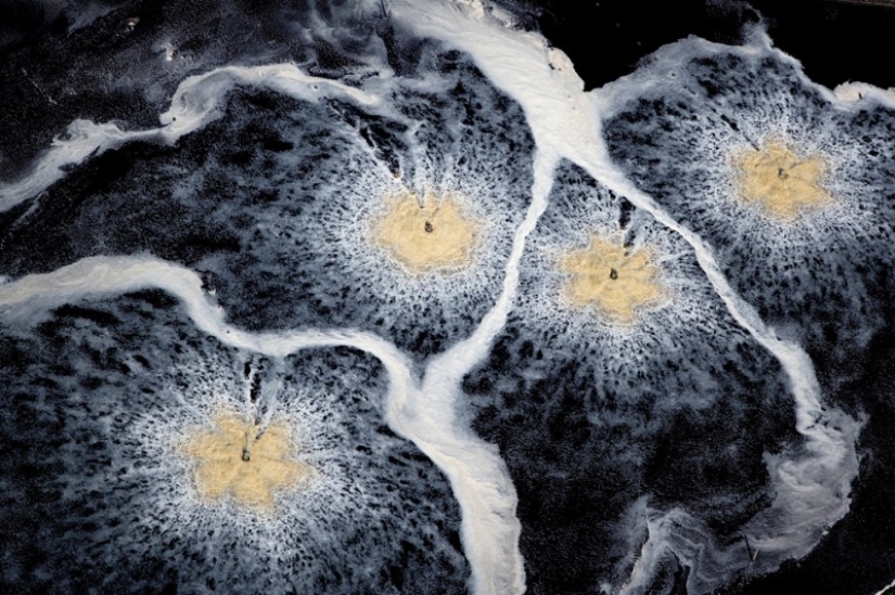 A través de los ojos de los Vikingos