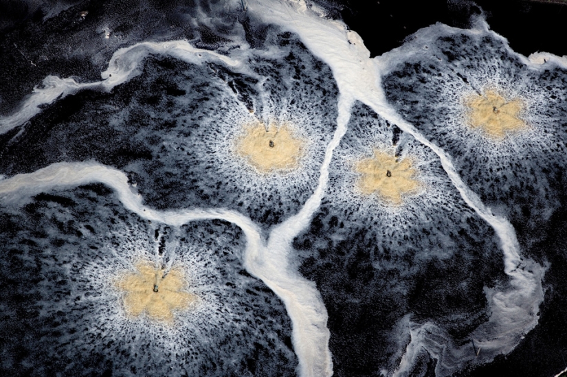 A través de los ojos de los Vikingos