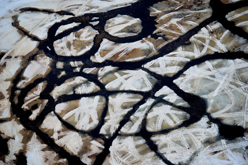 A través de los ojos de los Vikingos