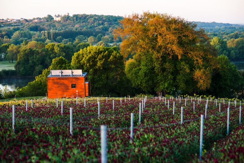 A week in a tiny house