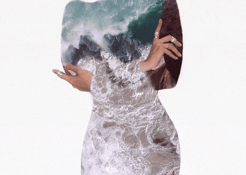 A whole sea inside: beautiful GIFs showing the richness of the microcosm