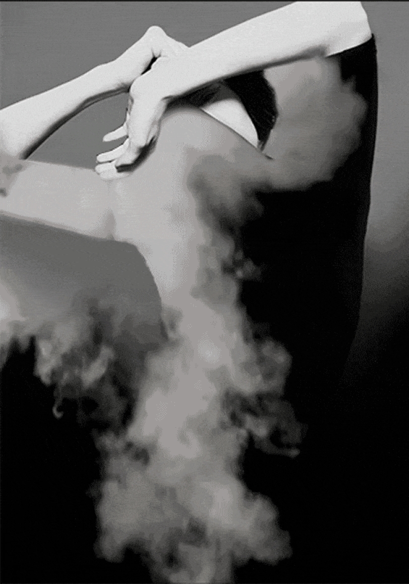 A whole sea inside: beautiful GIFs showing the richness of the microcosm