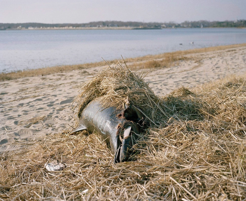 A woman told about her husband's depression in a series of poignant photos