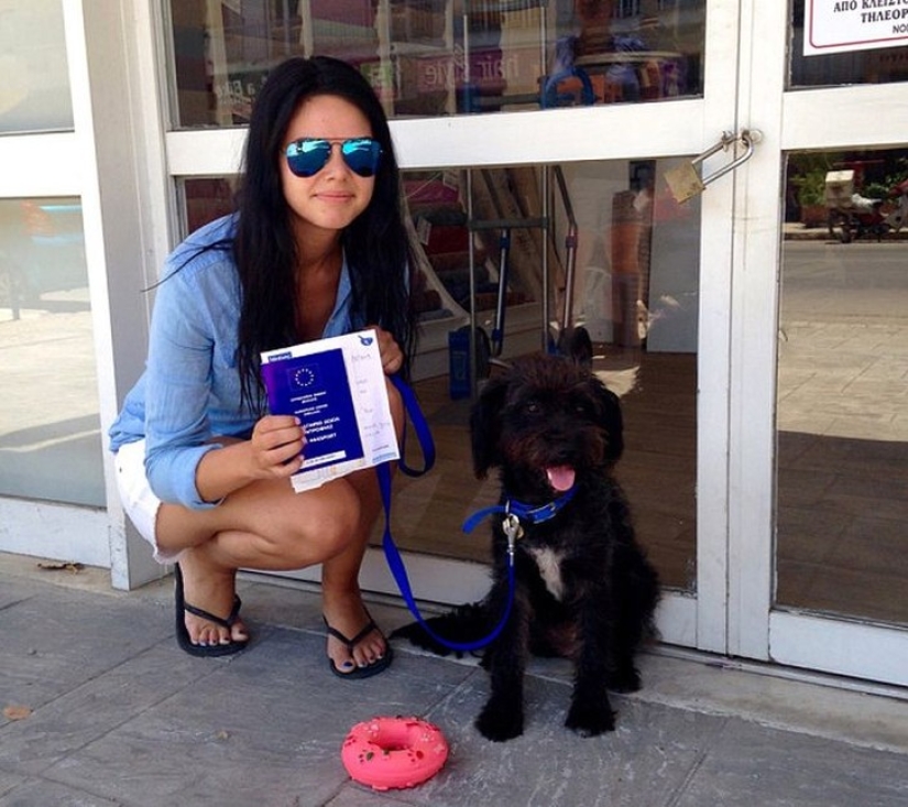 A woman took a stray dog from Crete, which saved her during her vacation