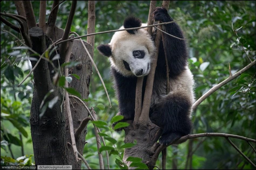 About the well-fed kingdom of laziness