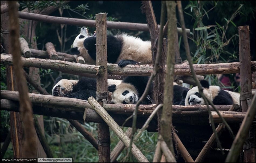 About the well-fed kingdom of laziness