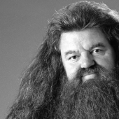 Actor Robbie Coltrane, who played Hagrid in Harry Potter, has died Actor Robbie Coltrane, who played Hagrid in Harry Potter, has died