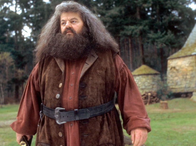 Actor Robbie Coltrane, who played Hagrid in Harry Potter, has died