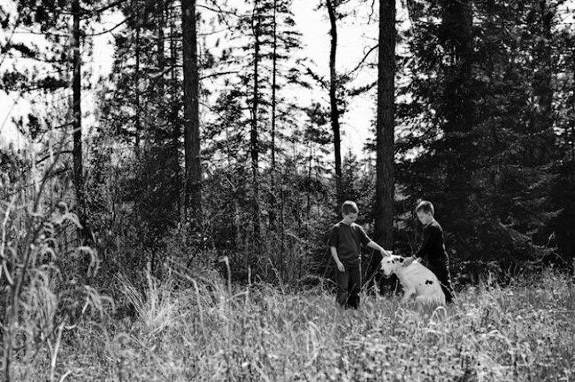 Adiós para siempre: el fotógrafo captura el último momento de amor entre el dueño y el perro antes de la eutanasia