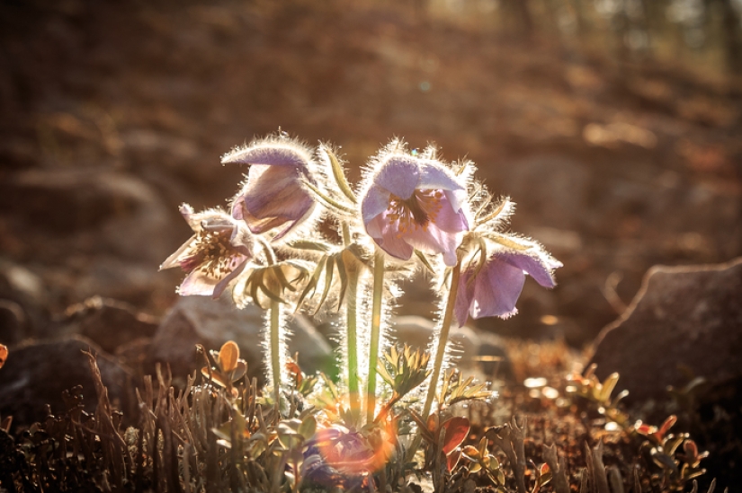 After seeing this, you will want to go to Yakutia: a walk on the ice in the hot summer After seeing this, you will want to go to Yakutia: a walk on the ice in the hot summer