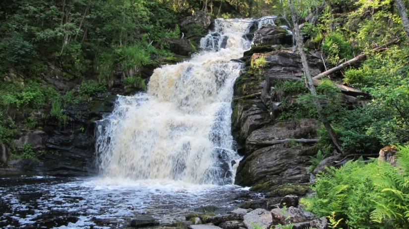 Agradable todoterreno: cómo disfrutar de la naturaleza salvaje, pero sin ensuciarse demasiado las botas Agradable todoterreno: cómo disfrutar de la naturaleza salvaje, pero sin ensuciarse demasiado las botas