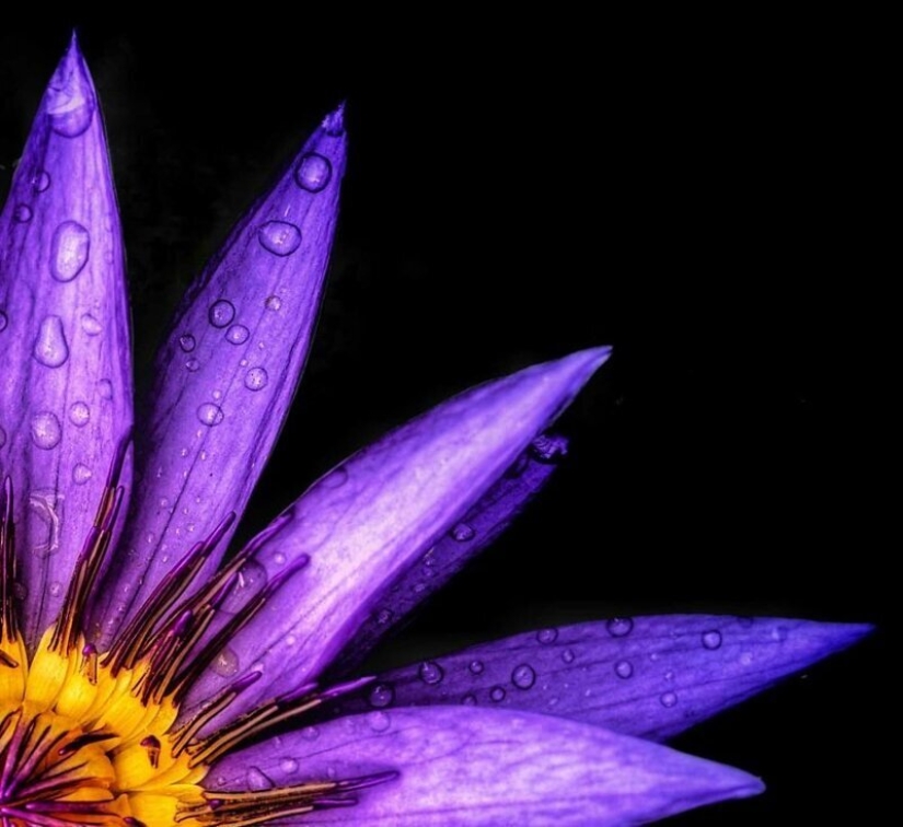 Agua fascinante :Las 50 mejores obras del concurso fotográfico Ágora # Water2020 Agua fascinante :Las 50 mejores obras del concurso fotográfico Ágora # Water2020