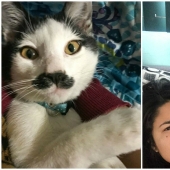 Alberto the cat with an unusual "mustache" steals the hearts of Mexican kitties