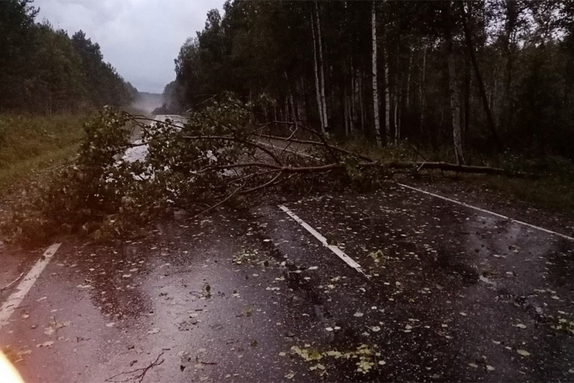 Albóndigas de hielo en Snezhinsk: granizo del tamaño de un puño y un huevo cayó en los Urales