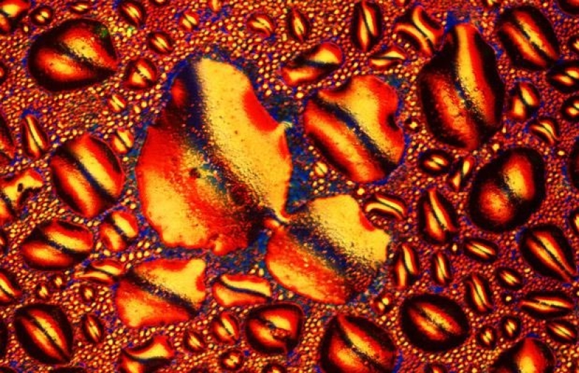 Alcohol bajo el microscopio
