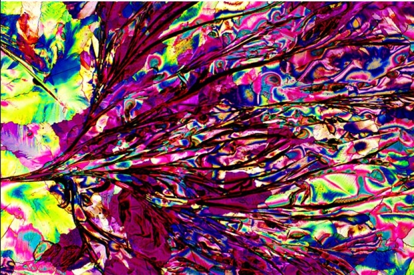 Alcohol bajo el microscopio