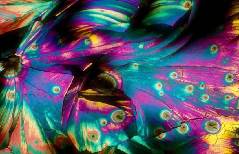 Alcohol bajo el microscopio