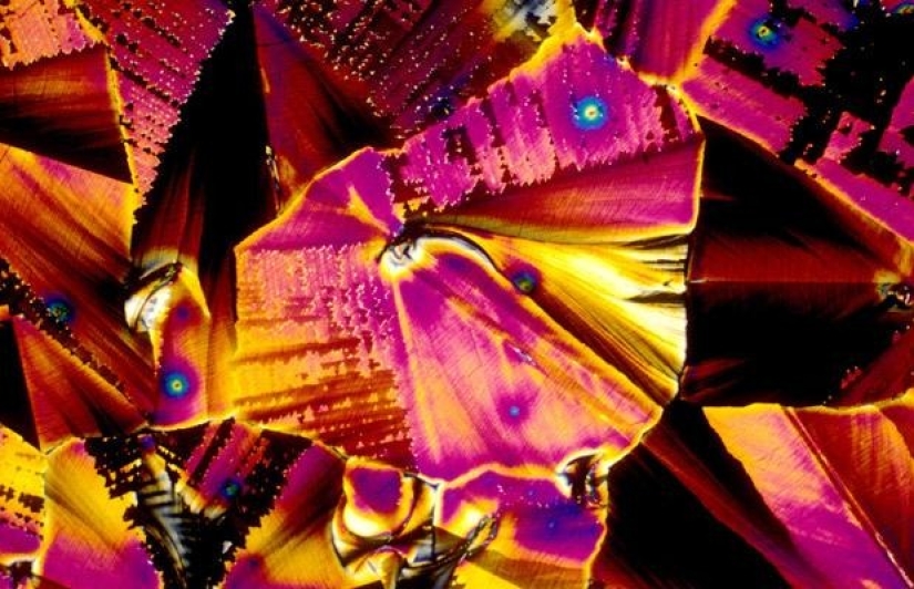 Alcohol bajo el microscopio