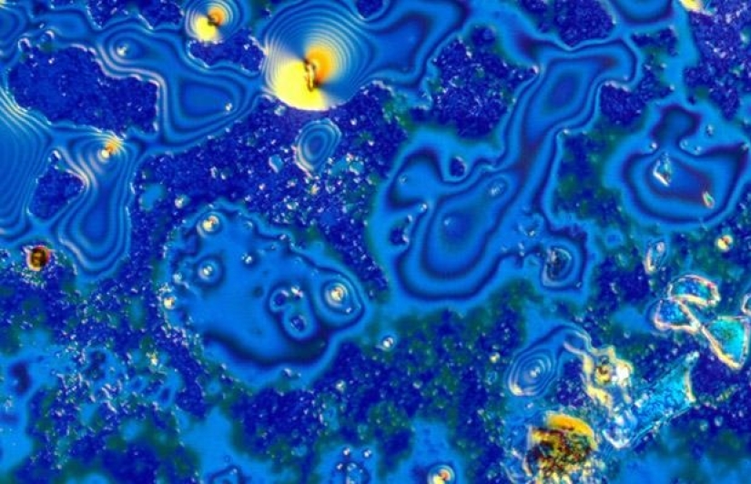 Alcohol bajo el microscopio