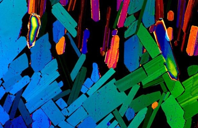 Alcohol bajo el microscopio