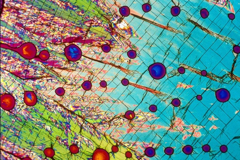 Alcohol bajo el microscopio