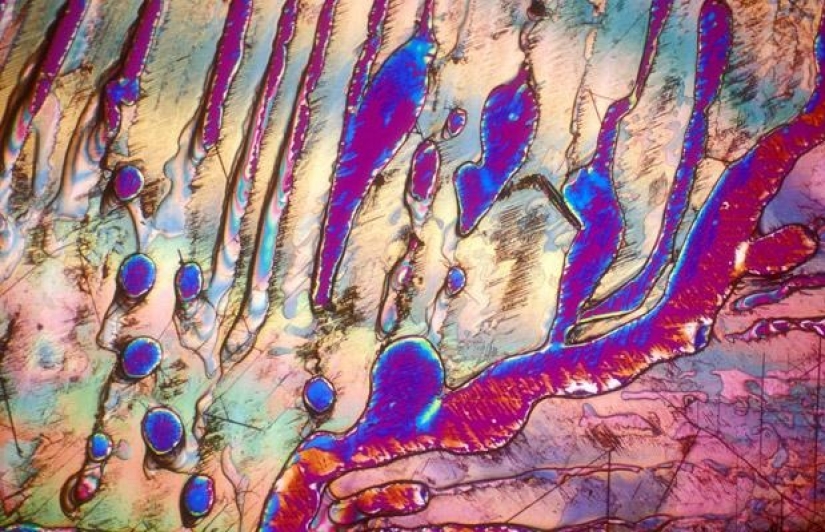 Alcohol bajo el microscopio