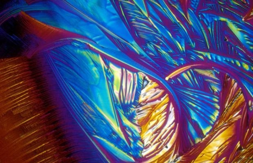 Alcohol bajo el microscopio