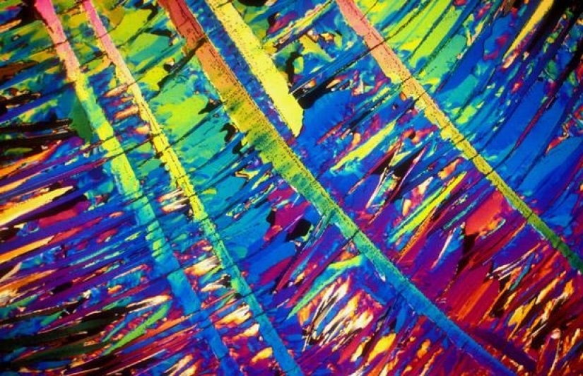 Alcohol bajo el microscopio