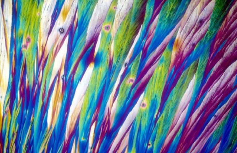 Alcohol bajo el microscopio