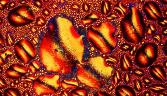 Alcohol under the microscope