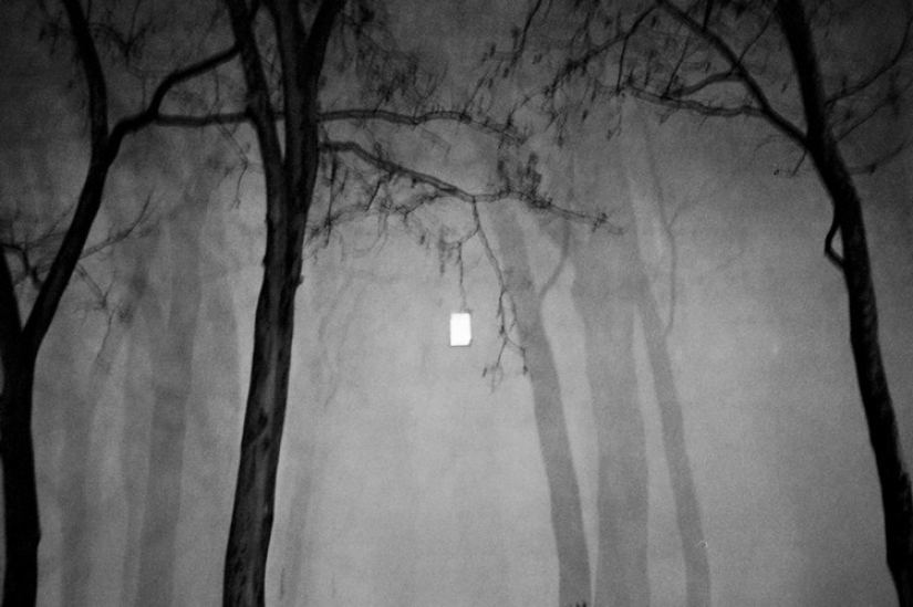 "All cats are grey": Night Berlin in the lens of Christian Reister