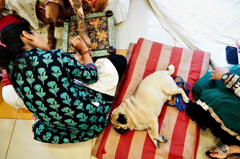 All Hindus Do IT, or a Real Indian Wedding