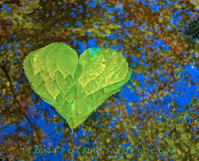 All love and happiness: Amazing installations by David Allen