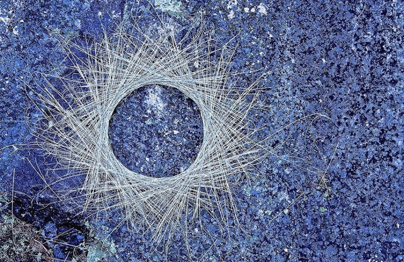 All love and happiness: Amazing installations by David Allen