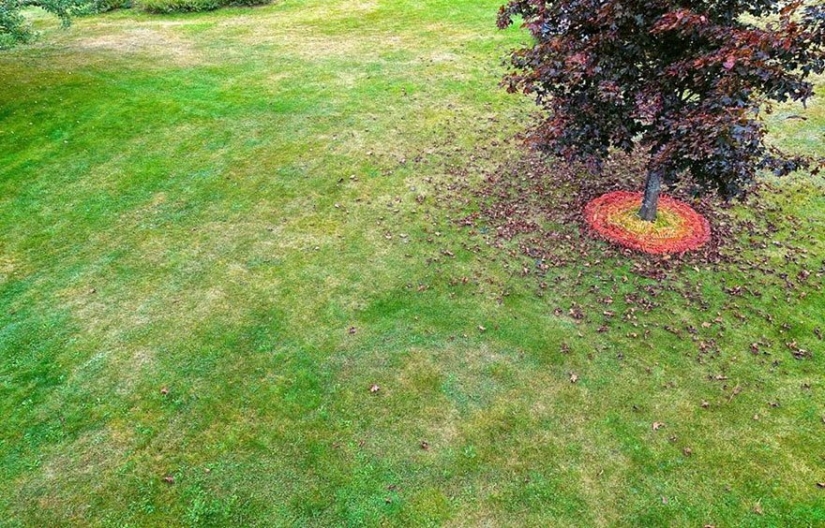 All love and happiness: Amazing installations by David Allen