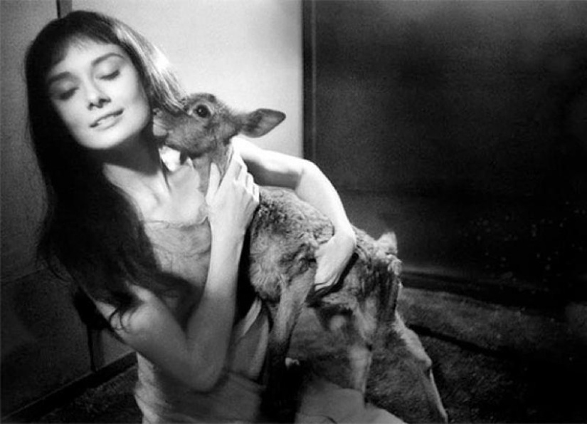 All the best photos of Audrey Hepburn All the best photos of Audrey Hepburn