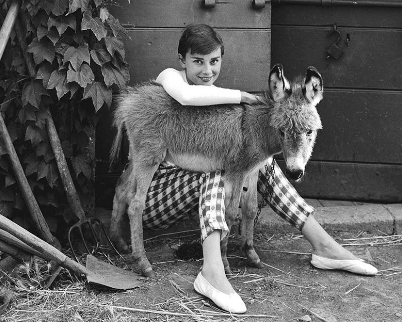All the best photos of Audrey Hepburn All the best photos of Audrey Hepburn