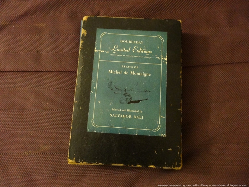 Amazing finds in a New York dumpster